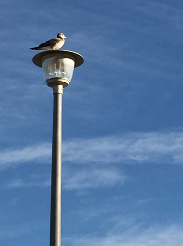 c0011862_2014756.jpg