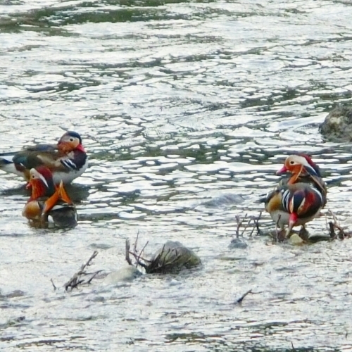 d0136171_01265319.jpg
