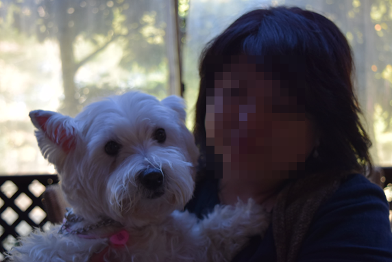 b0242873_01494923.png