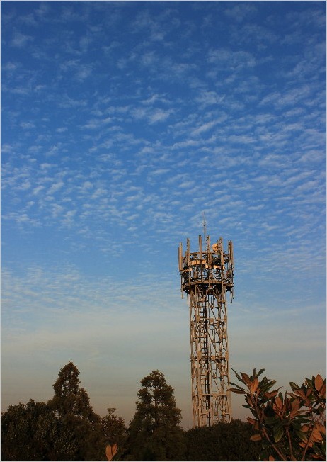 f0181173_18152655.jpg
