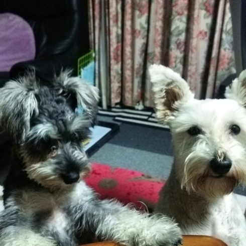 c0348784_10173600.jpg