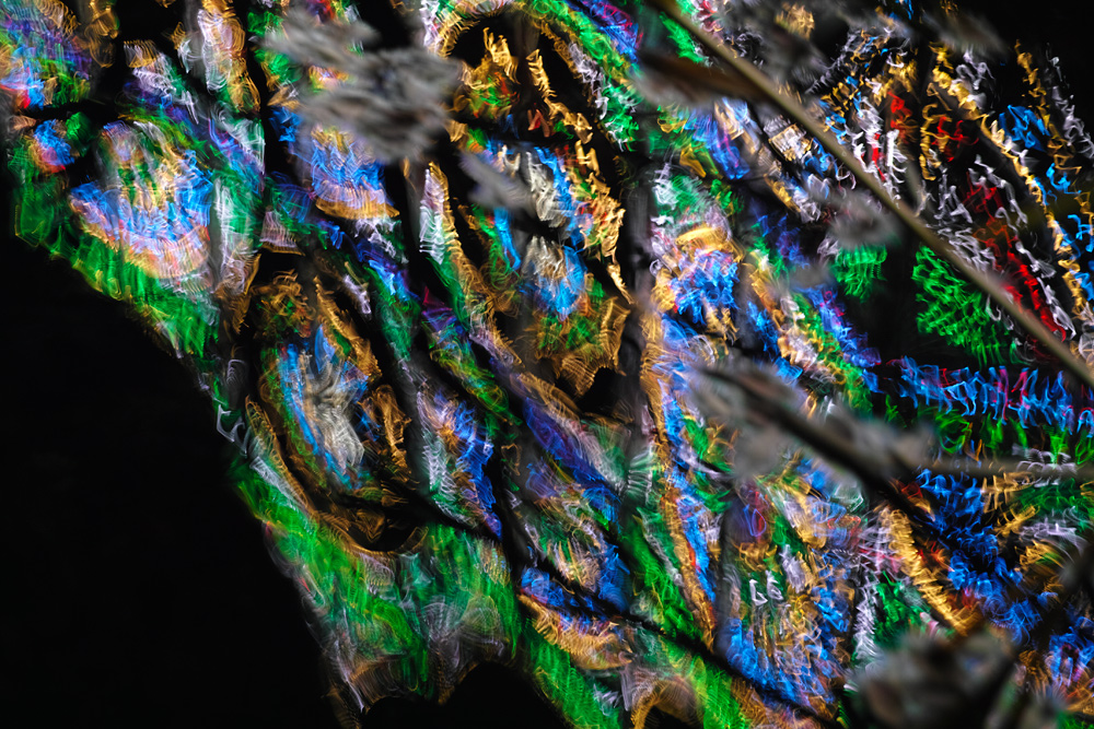 c0059485_23133533.jpg