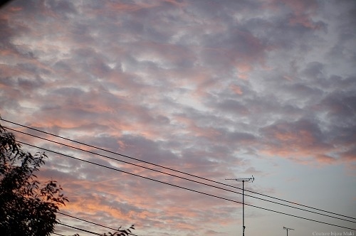e0043686_7211630.jpg