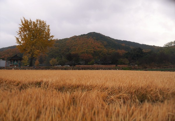 a0140305_0342093.jpg