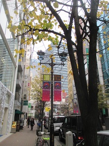 d0091909_9131840.jpg