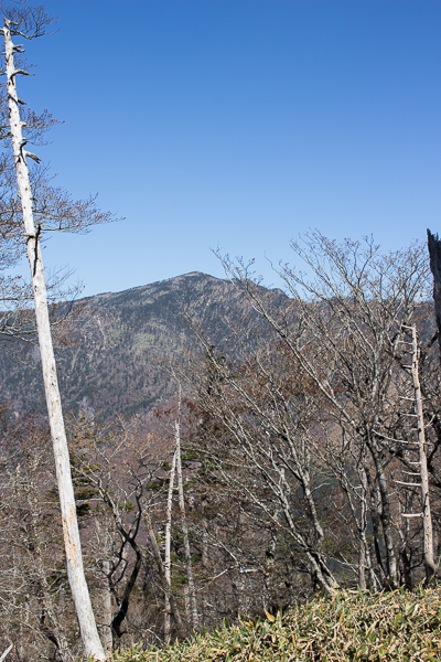b0244811_0212866.jpg
