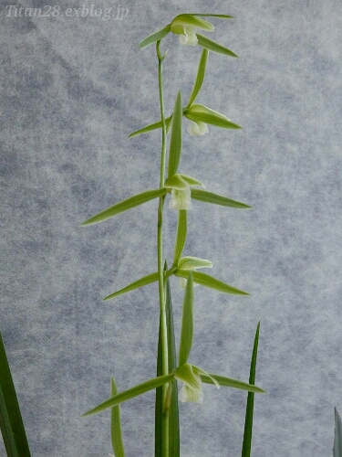 b0099813_123896.jpg