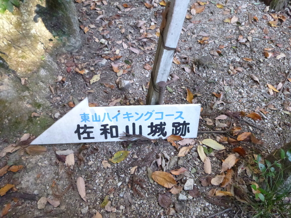 d0170615_17175961.jpg