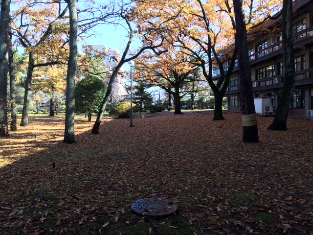c0038722_13443451.jpg