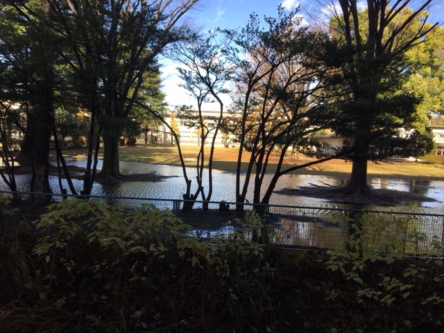 c0038722_13444149.jpg