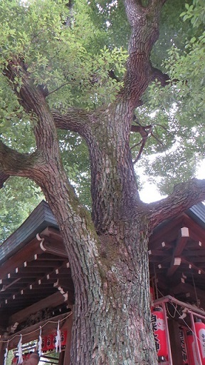 c0280322_15443957.jpg