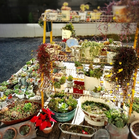 f0277327_08501449.jpg