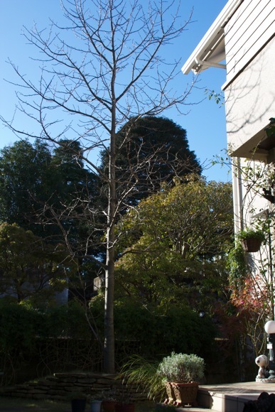 e0021328_23393050.jpg