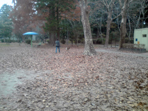 b0143231_21561669.jpg