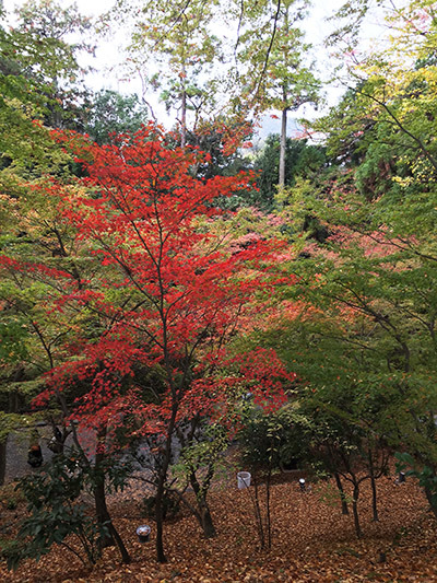 b0035734_18341004.jpg