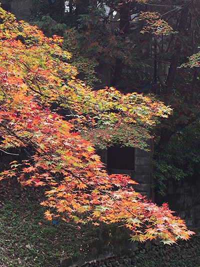 b0035734_18344432.jpg