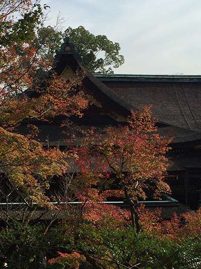 b0035734_18365712.jpg