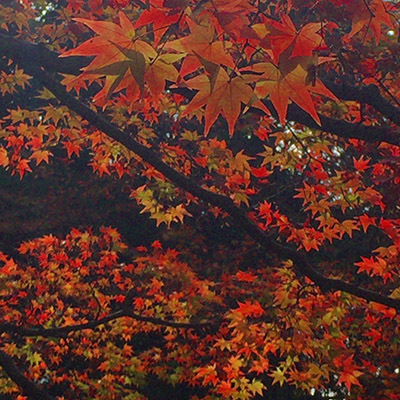 b0035734_18372282.jpg