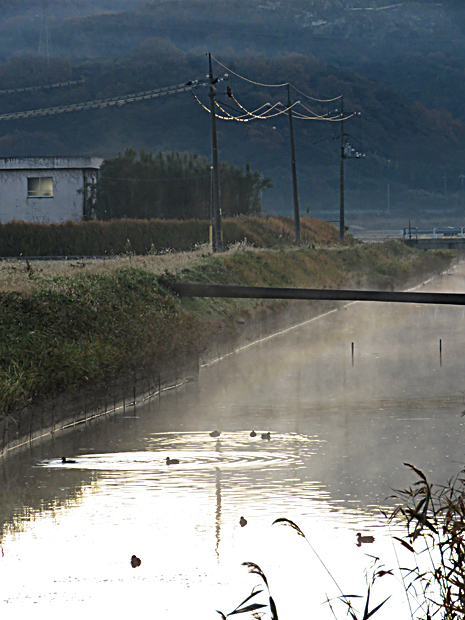 f0214649_16472139.jpg