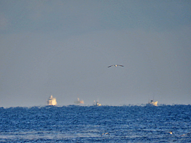 f0214649_16543230.jpg
