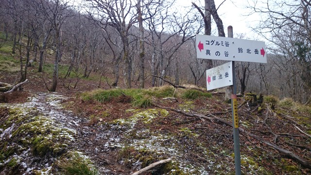 b0148050_14351427.jpg