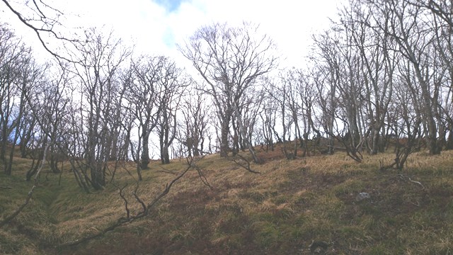 b0148050_14363477.jpg