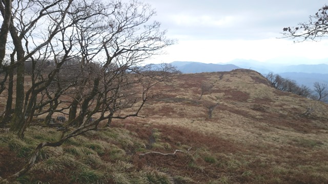 b0148050_1438782.jpg