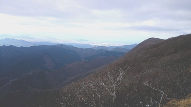 b0148050_1439230.jpg