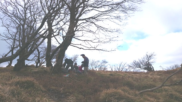 b0148050_1439254.jpg