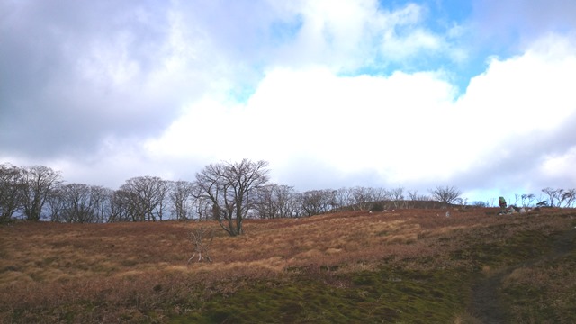 b0148050_14433491.jpg