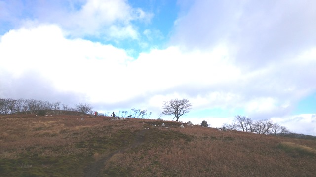 b0148050_14435618.jpg