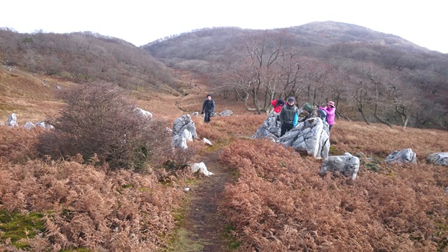 b0148050_1444351.jpg