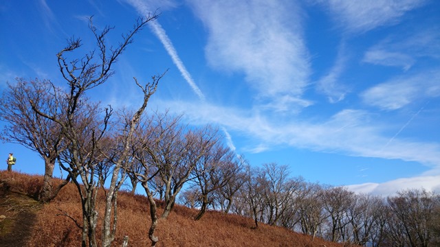 b0148050_14463831.jpg