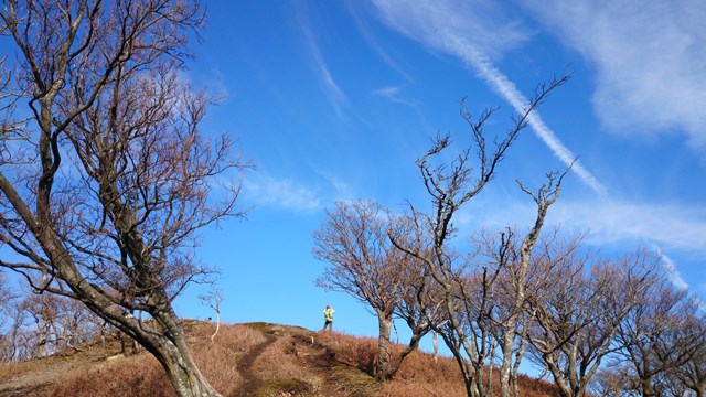 b0148050_144692.jpg