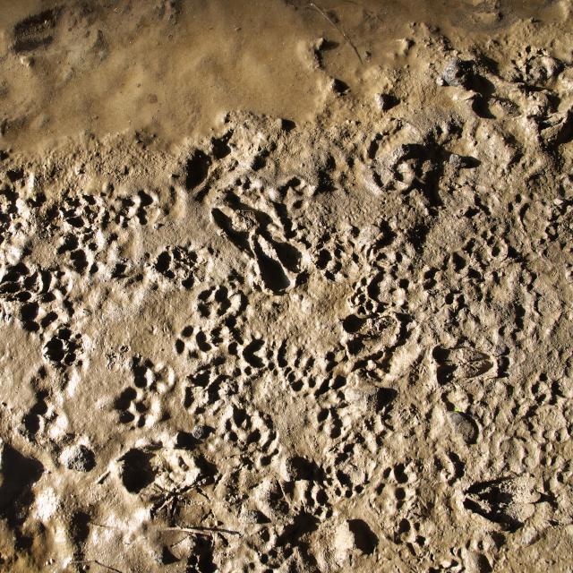 b0320758_19425799.jpg