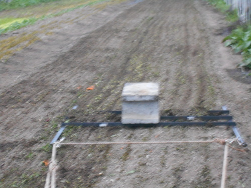 e0181260_7383930.jpg
