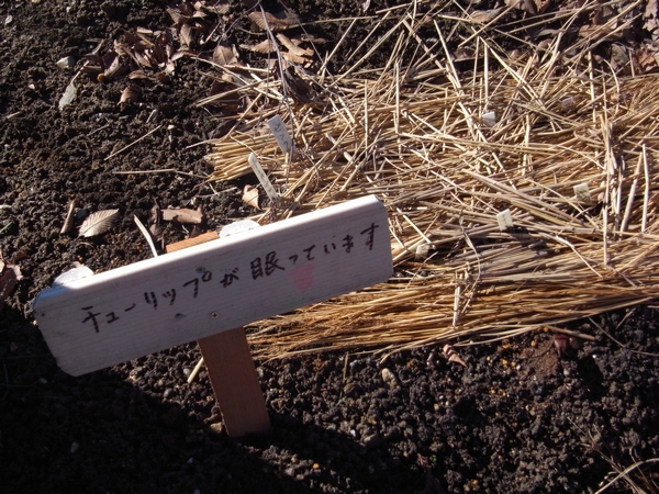 c0166668_22541220.jpg