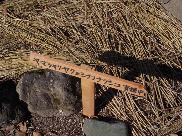 c0166668_22552125.jpg
