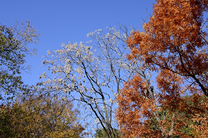 f0108478_91465.jpg