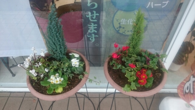 c0096582_10132561.jpg
