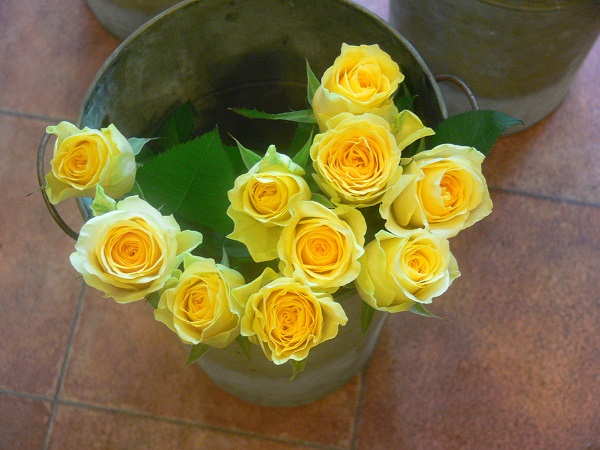 e0140986_1452981.jpg