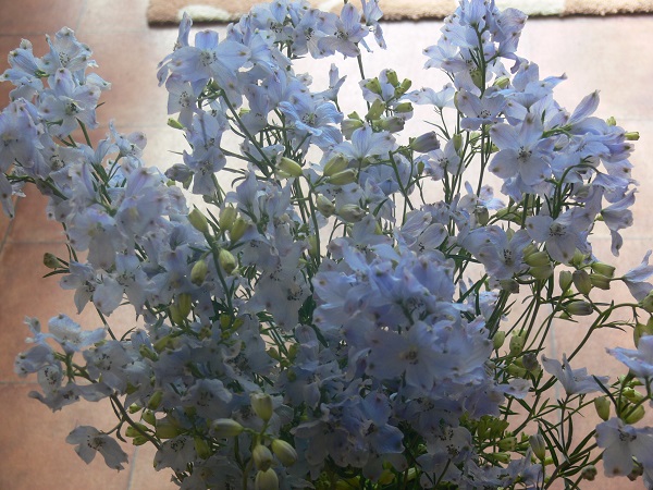 e0140986_1503047.jpg