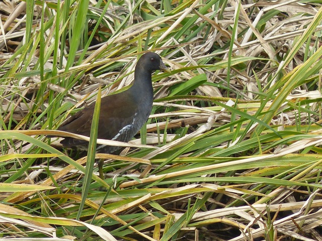 f0357487_23183359.jpg