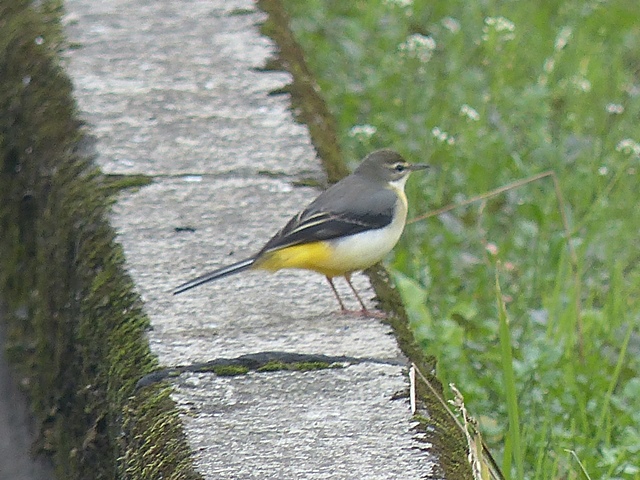 f0357487_2322464.jpg