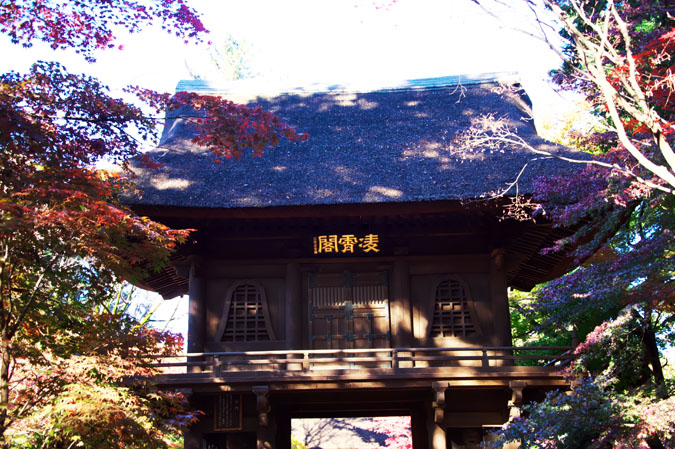 a0263109_14132479.jpg