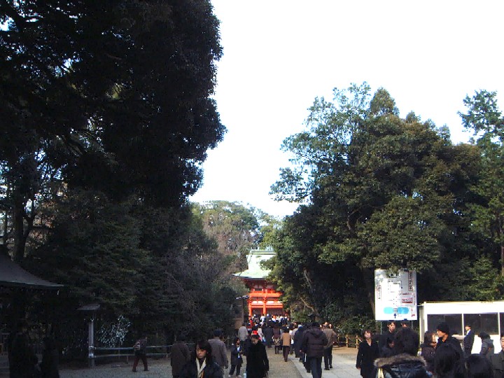 c0074721_15242440.jpg