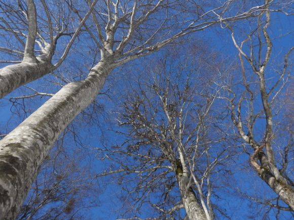 f0118332_23482555.jpg