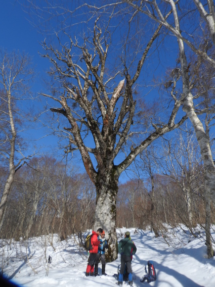 f0118332_23502661.jpg