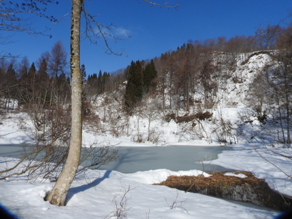 f0118332_23580149.jpg