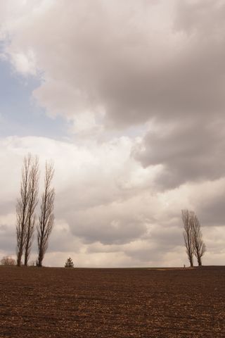 b0042334_1514043.jpg